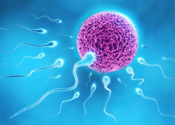 बुधवारी सांगोला येथील आनंद हॉस्पिटलमध्ये मोफत वंधत्व तपासणी व सल्ला शिबिर