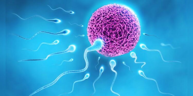 बुधवारी सांगोला येथील आनंद हॉस्पिटलमध्ये मोफत वंधत्व तपासणी व सल्ला शिबिर