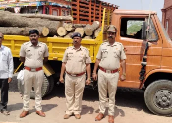मोठी कारवाई ! तीस हजाराच्या लाकडांसह सह टेम्पो जप्त ; वन विभागाची कामगिरी