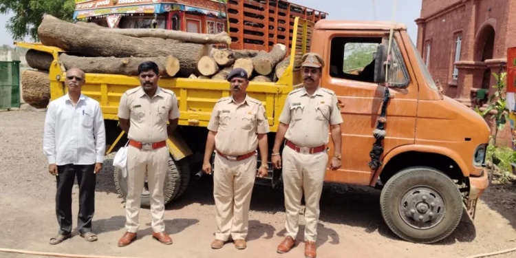मोठी कारवाई ! तीस हजाराच्या लाकडांसह सह टेम्पो जप्त ; वन विभागाची कामगिरी