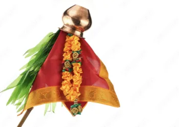 कौतुकास्पद ! सोलापुरातील डॉक्टर नयना व्यवहारे यांनी उभारली उष्माघात प्रतिबंधक वनस्पती गुढी