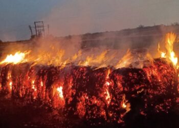 नैसर्गिक आपत्ती ! मंगळवेढ्यात वीज पडल्याने कडब्याची बनीम जळून खाक