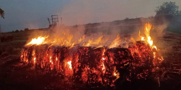 नैसर्गिक आपत्ती ! मंगळवेढ्यात वीज पडल्याने कडब्याची बनीम जळून खाक