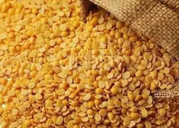 सातत्याने तूरडाळीचे वाढतच आहेत दर