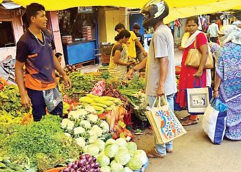 सोलापूर जिल्ह्यात ७ मे रोजी मतदानाच्या दिवशी सर्व आठवडेबाजार बंद राहणार ; जिल्हाधिकाऱ्यांचे आदेश