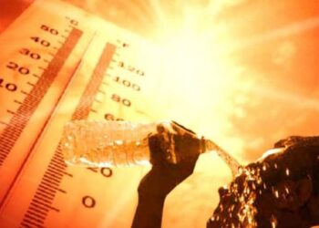 राज्यात उष्माघाताचे प्रमाण वाढले, उष्माघाताच्या रुग्णांची संख्या पोहोचली दोनशेवर ; नागरिकांनी काळजी घेण्याचे डॉक्टरांचे आवाहन