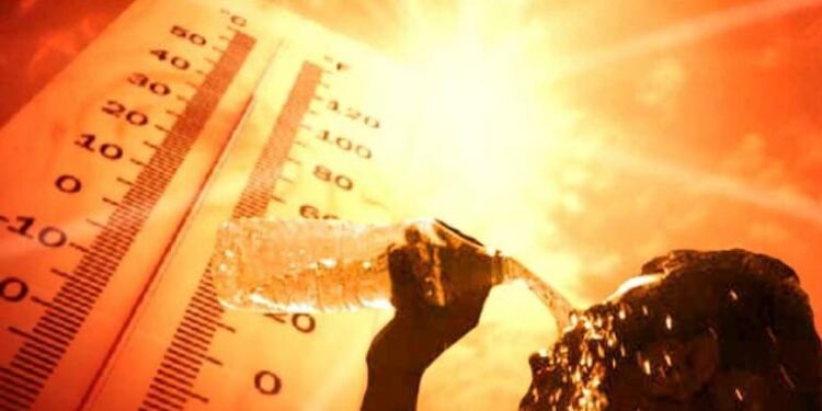 राज्यात उष्माघाताचे प्रमाण वाढले, उष्माघाताच्या रुग्णांची संख्या पोहोचली दोनशेवर ; नागरिकांनी काळजी घेण्याचे डॉक्टरांचे आवाहन