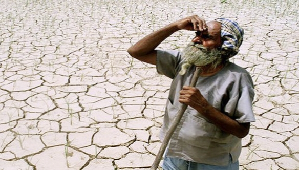 जत तालुक्यात दुष्काळाचे गंभीर रूप, जलस्त्रोत आटले, जनावरांच्या चाऱ्याची भीषण टंचाई : असह्य परिस्थितीने बेजार झालेले नागरिक जिवंतपणी भोगत आहेत मरणयातना ; निर्ढावलेल्या प्रशासनाला पाझर फुटणार का?