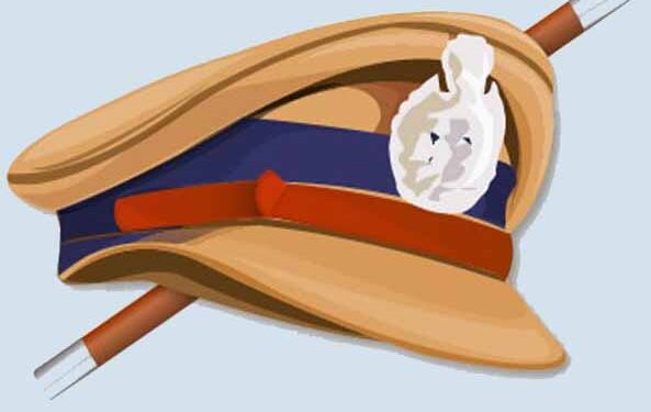 लोकसभा निवडणुकीत मंगळवेढा पोलिसांची दमदार कामगिरी ; पोलीस निरीक्षक रणजीत माने यांच्या योग्य नियोजन आणि कार्यतत्परतेमुळे निवडणूक प्रक्रिया शांततेत