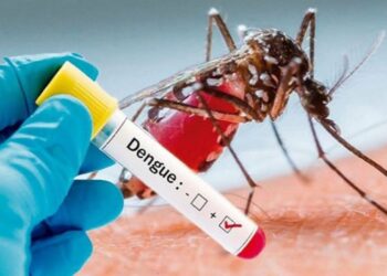 समुदायाच्या संपर्कात राहून डेंग्यूला नियंत्रित करा ; आरोग्य कर्मचारी संघटनेचे तालुकाध्यक्ष सुनील जाधव यांचे आवाहन