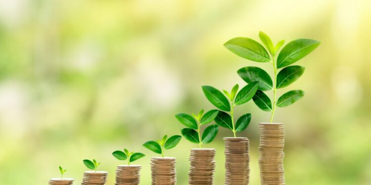 बोराळे येथील महादेवी महिला पतसंस्थेच्या नूतन वास्तूचा उद्घाटन समारंभ मोठ्या थाटामाटात संपन्न ; जिल्ह्यातील दिग्गज नेत्यांची उपस्थिती