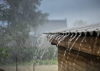 महाराष्ट्रात पुढील चार दिवस मुसळधार पावसाची शक्यता ; राज्यातील ‘या’ जिल्ह्यांना हवामान खात्याकडून अलर्ट