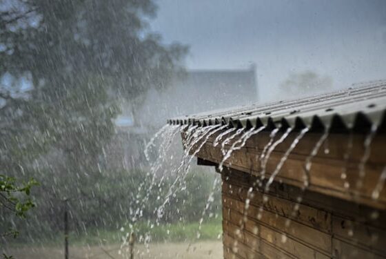 महाराष्ट्रात पुढील चार दिवस मुसळधार पावसाची शक्यता ; राज्यातील ‘या’ जिल्ह्यांना हवामान खात्याकडून अलर्ट