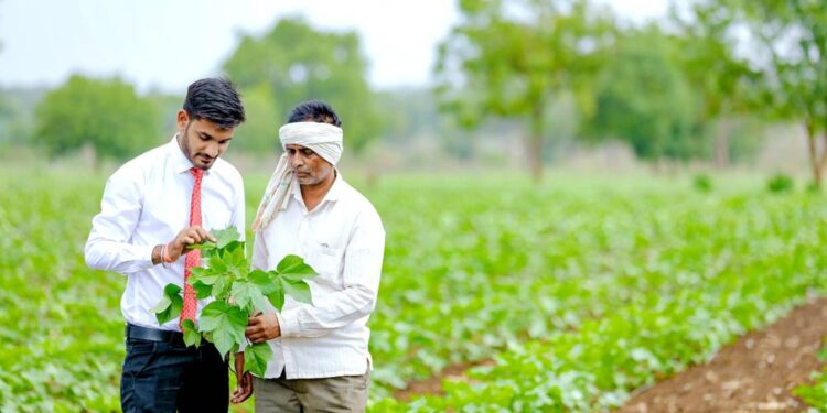 खरीप हंगामाला सुरूवात झाली मात्र शेतकरी अजूनही गतवर्षीच्या सोयाबीनवरील मोझॅकचे अनुदान व पीकविम्याच्या प्रतीक्षेत
