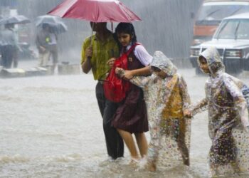 पुढील 48 तास राज्यात मुसळधार पावसाची शक्यता ; हवामान खात्याचा अंदाज, शेतकरी वर्गाच्या अशा पल्लवीत