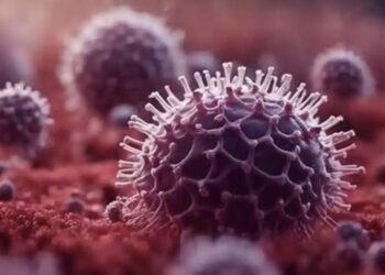 चिंता वाढली ! राजधानी मुंबईत HMPV ची एन्ट्री, सहा महिन्यांच्या चिमुकलीला HMPV ची लागण ; चिमुकलीवर रुग्णालयातील अतिदक्षता विभागात उपचार सुरु