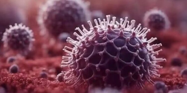 चिंता वाढली ! राजधानी मुंबईत HMPV ची एन्ट्री, सहा महिन्यांच्या चिमुकलीला HMPV ची लागण ; चिमुकलीवर रुग्णालयातील अतिदक्षता विभागात उपचार सुरु