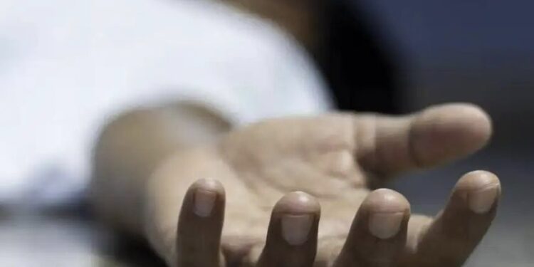 कशी काळाची चाहूल आली ! शर्यतीतील बैलगाडा प्रेक्षकात घुसून झालेल्या अपघातात तरुणाचा मृत्यू ; सांगोला तालुक्यातील दुर्घटना