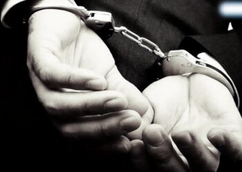 मोठी बातमी ! पाकिस्तानसाठी हेरगिरी ; ज्योती मल्होत्रानंतर आणखी एका युट्युबरला अटक, ज्योती मल्होत्रा व दनिशशी घनिष्ठ संबंध