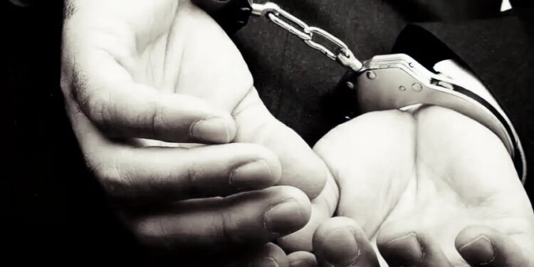 मोठी बातमी ! पाकिस्तानसाठी हेरगिरी ; ज्योती मल्होत्रानंतर आणखी एका युट्युबरला अटक, ज्योती मल्होत्रा व दनिशशी घनिष्ठ संबंध