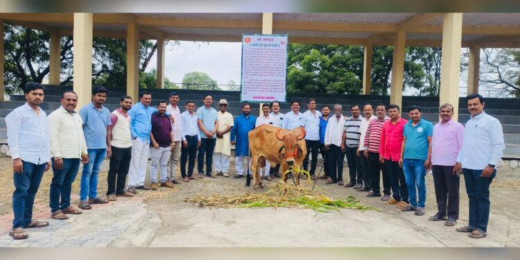 सांगण्याजोगे ! वारी परिवारामुळे मंगळवेढा स्मशानभूमी ठरतेय परिवर्तनाची नांदी ; स्मशानभूमीत राहणाऱ्या उप्पेवाड कुटूंबाला वारी परिवाराने दिली गीर गाय भेट