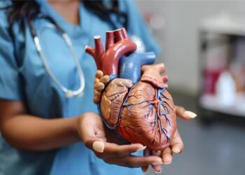 सोलापुरात शनिवारी एसीएस हॉस्पिटलच्या वतीने हृदयरोग जनजागृती प्रदर्शन व थेट प्रात्यक्षिकाचे आयोजन ; यतीन शहा, मनीष केत, नीलकंठ वाकचौरे यांची प्रमुख उपस्थिती