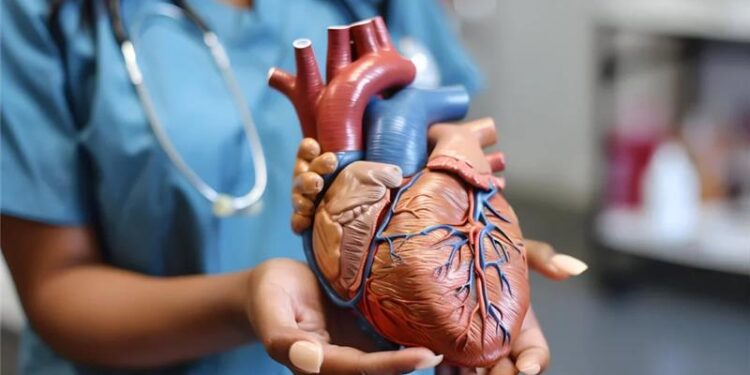 सोलापुरात शनिवारी एसीएस हॉस्पिटलच्या वतीने हृदयरोग जनजागृती प्रदर्शन व थेट प्रात्यक्षिकाचे आयोजन ; यतीन शहा, मनीष केत, नीलकंठ वाकचौरे यांची प्रमुख उपस्थिती