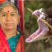 धक्कादायक ! शेतात कडबा गोळा करत असताना सर्पदंश होऊन 55 वर्षीय महिलेचा दुर्दैवी मृत्यू ; सुनिता यांचा मदतीसाठी आरडाओरडा, पण….